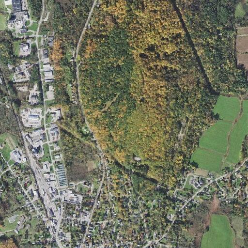 Woman falls needing lift assistance in Middlebury