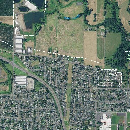 Adult suffers stroke near 55th Place in Springfield