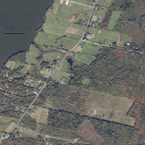 Car hits deer on St George Road in South Thomaston