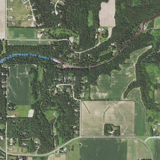 Large white bird reported near rural roadway