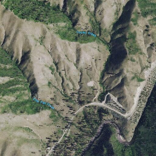 Runaway reported at Pine Flats Campground