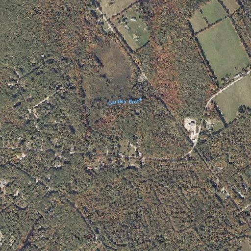 Person requires lift assist near Naples Road