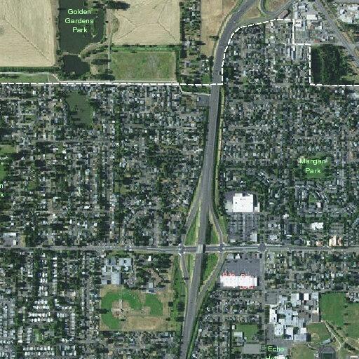 Male with facial marks conscious and breathing near Eugene