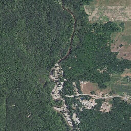 Campers report dog attack at Rifle River campground