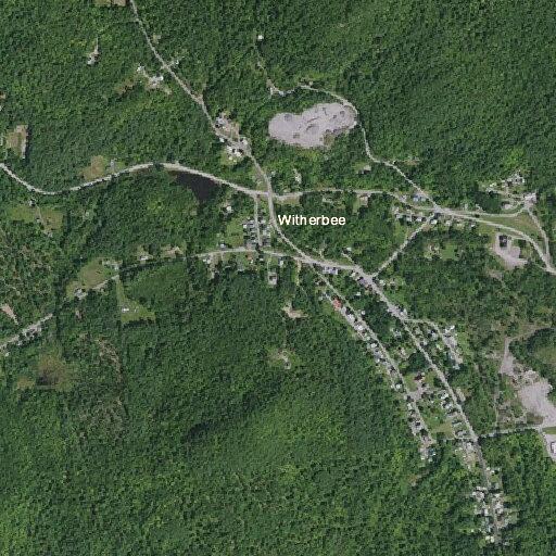 Unknown person yelling in woods behind home