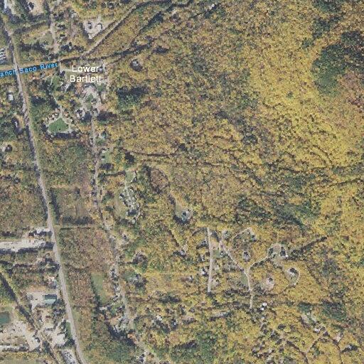 Juveniles reported out of control, yelling and screaming near Burdette Road in Bartlett