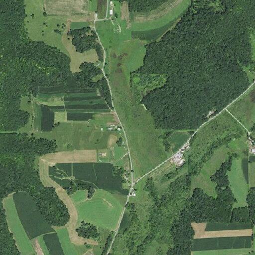 Neighbor’s dogs reported barking on property