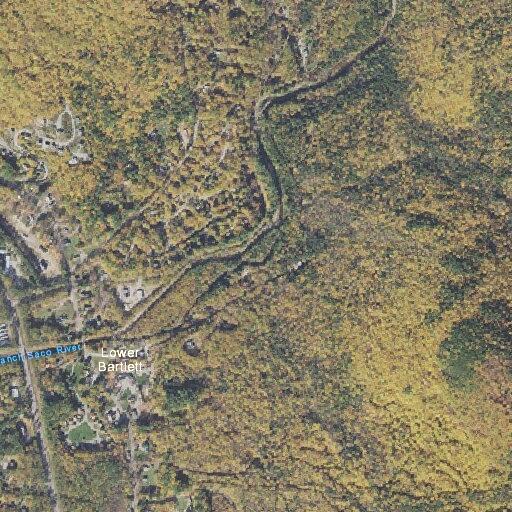83-year-old man fell while standing at East Branch Rd