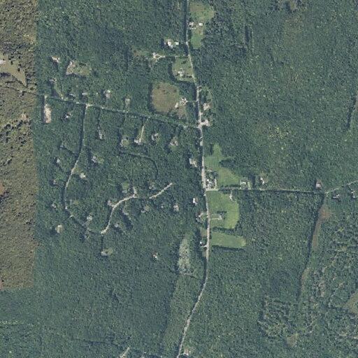 Elderly woman possibly having a stroke near Litchfield Road