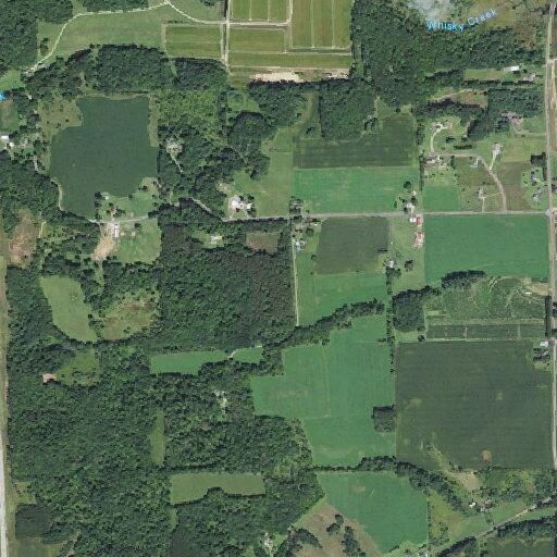 Woman vomiting near Boxwood Road in Warrens