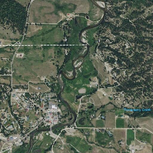 Cow rescue causing traffic issue near bridge