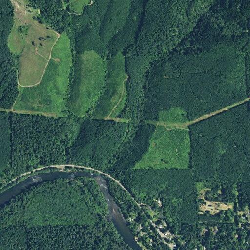 Diabetic man dizzy and labored breathing at McKenzie Hwy