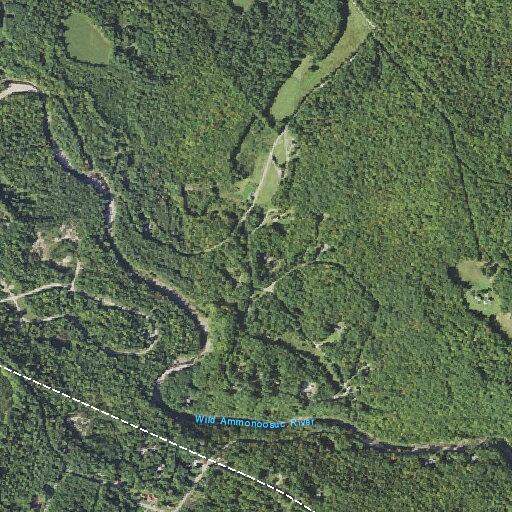 Medical responders dispatched near Wild Ammonoosuc Road