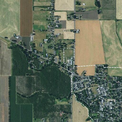 Seventy-five-year-old woman conscious and breathing near Coburg