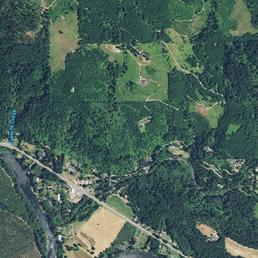 Well-contained backyard burn on North Gate Creek