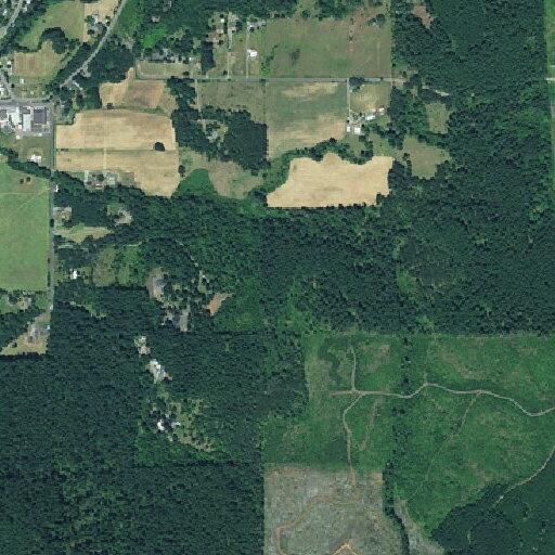 85-year-old man with nosebleed at Honeybee Lane