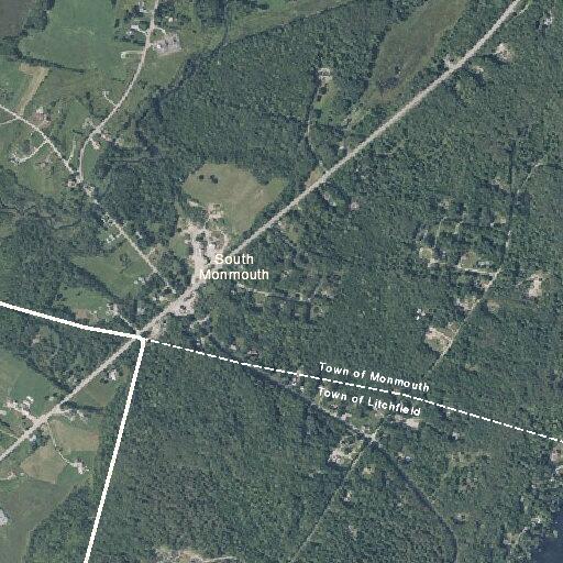 Elderly Man Weak and Bedridden in Litchfield