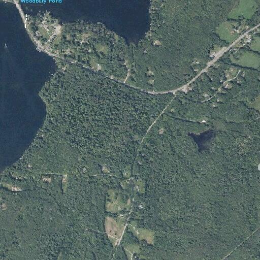 77-year-old man shaking at home in Litchfield