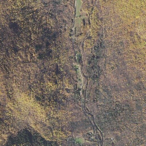 Accidental fire alarm near Carter Notch Road in Jackson