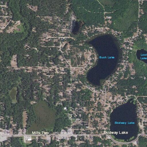 Multiple fights reported at Skidway Lake Beach