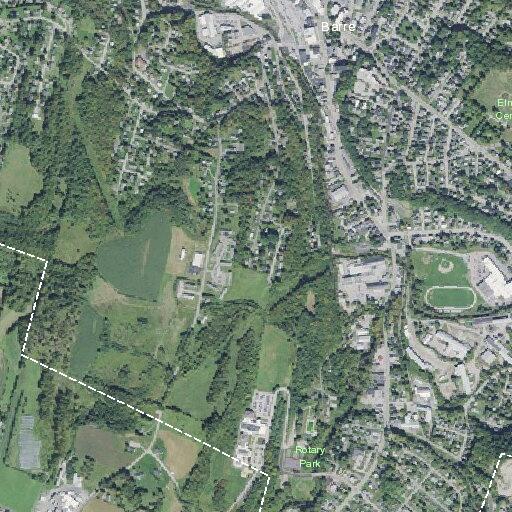 81-year-old female found conscious but nonverbal at home