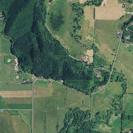 Person experiencing abdominal pain at Swamp Creek Road