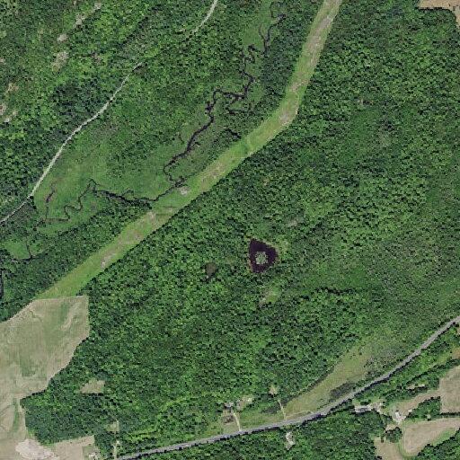 Person having a seizure near State Highway 3 in Pitcairn