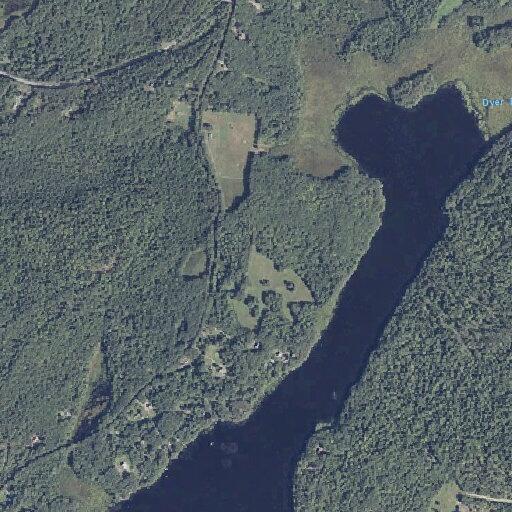 Man running incoherently in middle of Goodwin Road