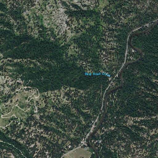 Vehicles hitting low line across Middle Fork Road