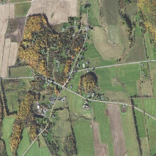 Teen female with abdominal pain and bloody stool in Ferrisburgh