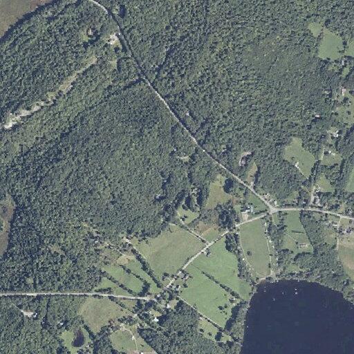 Intoxicated male fallen and possibly stroked near Damariscotta Lake Farm