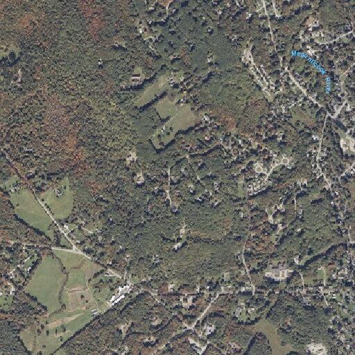 95-year-old female with possible stroke at Lupine Ln