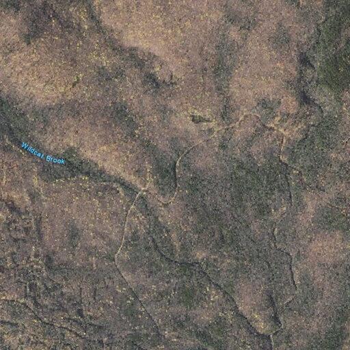 Hiker reports man with gun and dogs near trailhead in Jackson