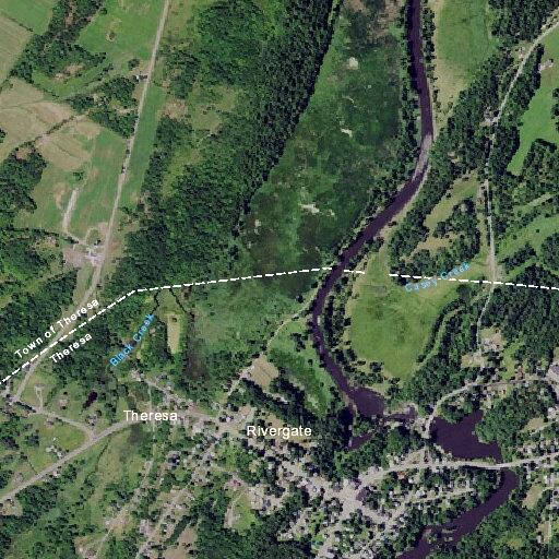 Female reported suicidal near Pine Street in Theresa, NY