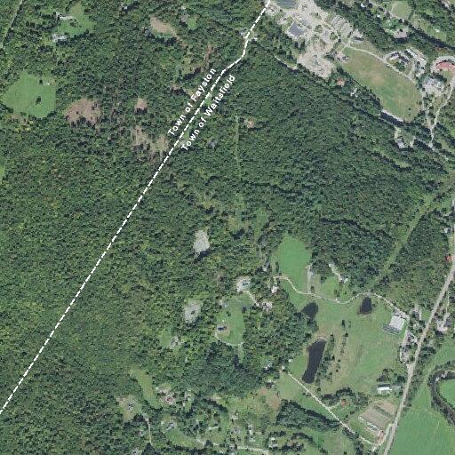 Man having seizure and unconscious at Bunny Lane