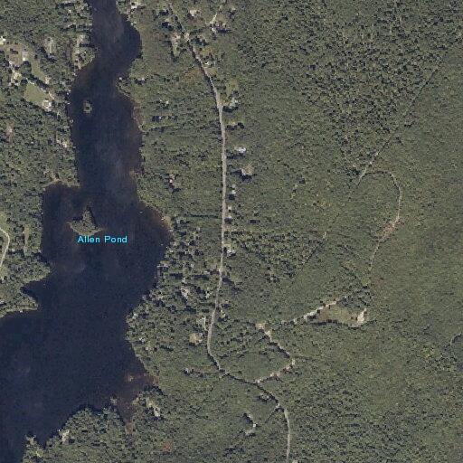 21-year-old woman vomiting blood at Allen Pond Rd