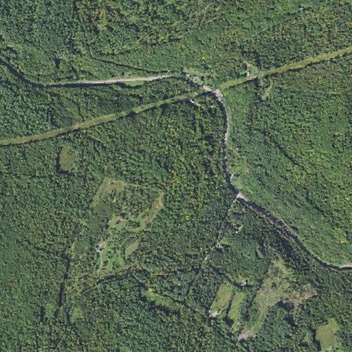 Car hits deer on Route 117 in Lisbon