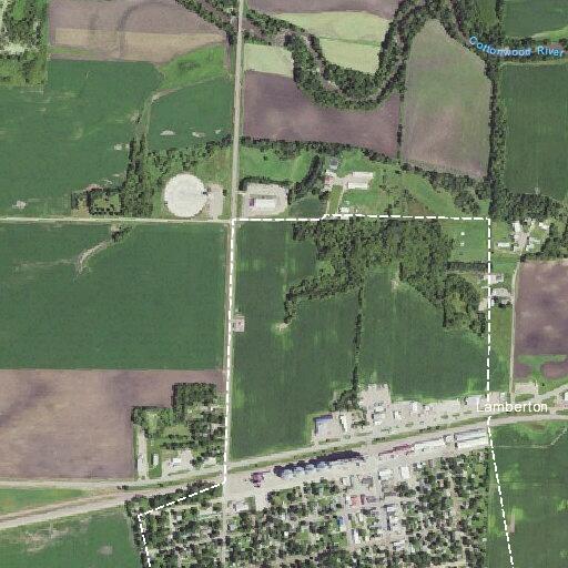 Deer in westbound lane on Highway 14 near Lamberton