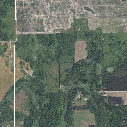 Neighbor’s dogs harass livestock near Whittemore Road