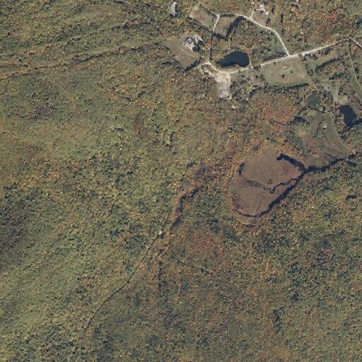 Man falls and suffers head injury near Deer Hill Road in Stoneham