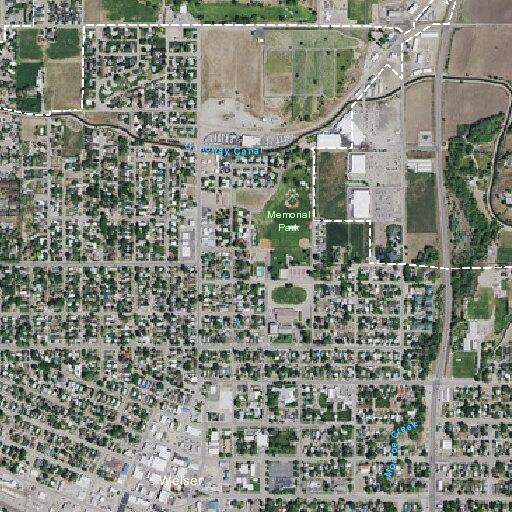 Loose dogs reported after chasing person