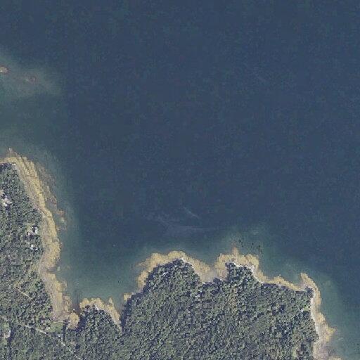 Woman in 70s has severe leg cramps in Deer Isle