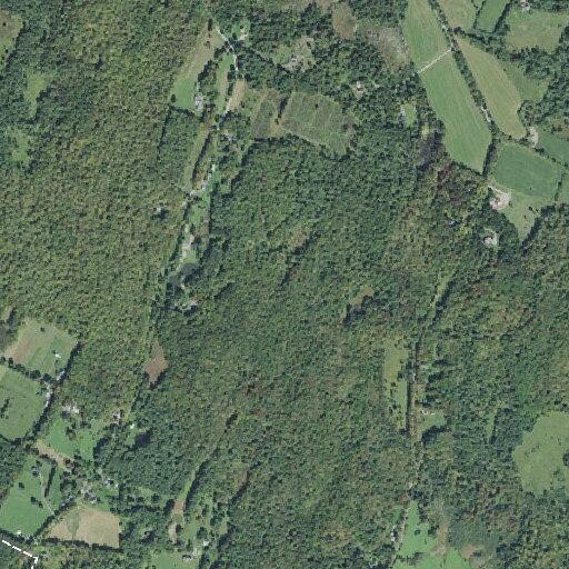 Residential fire alarm near Bliss Road in East Montpelier