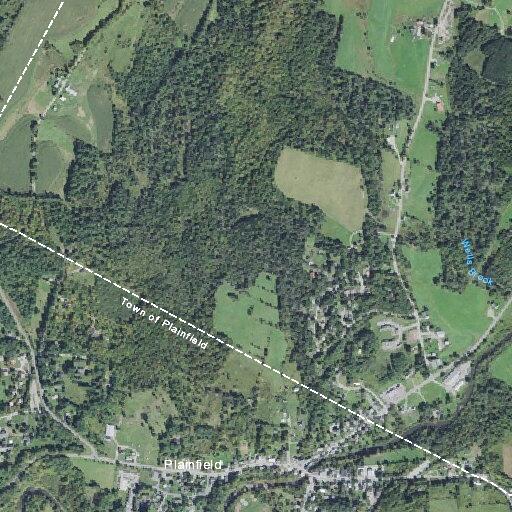 Elderly female has brain episode near High Street in Plainfield
