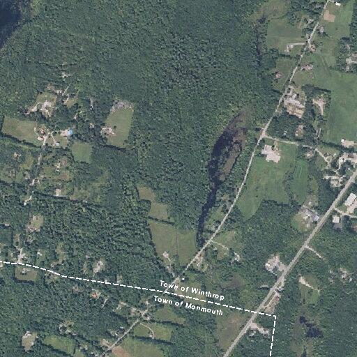 Domestic dispute with harassment and loose dogs
