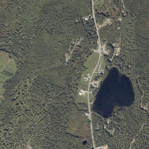 Small roadside brush fire on Auburn Road