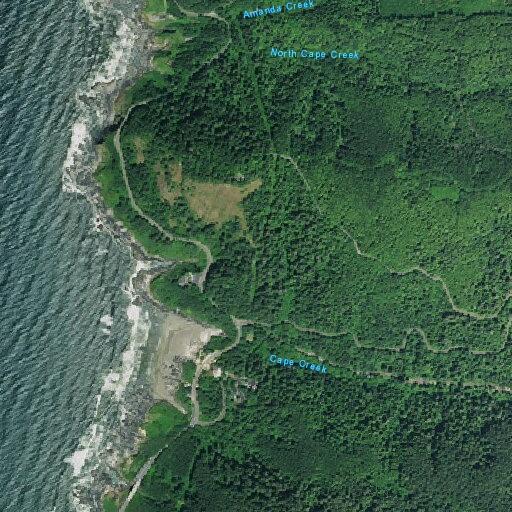 Three juvenile girls reported missing from visitor center