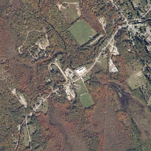 75-year-old woman showing abnormal behavior in Buckfield