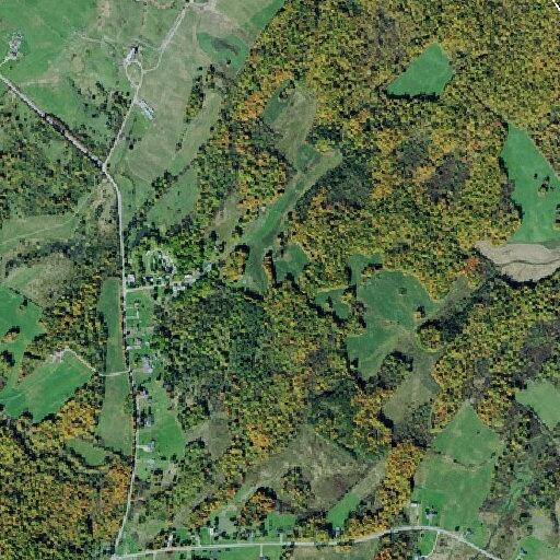 Woman found lethargic near Somerville Road in Antwerp