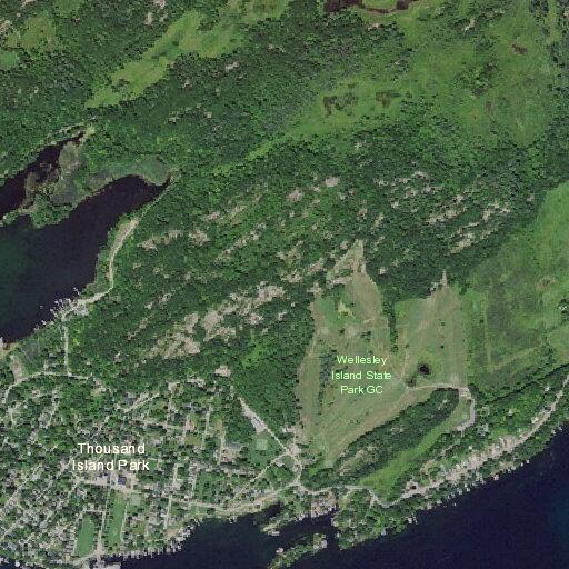 84-year-old woman with rapid heart rate in Thousand Island Park